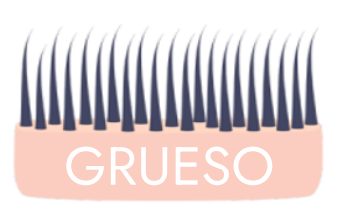Pelo Grueso